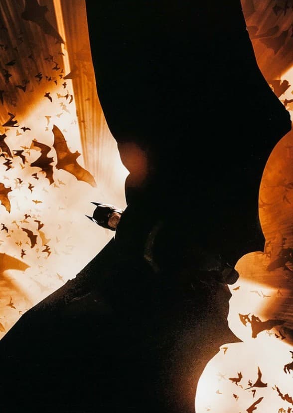 The Dark Knight Reckonizes (2011)