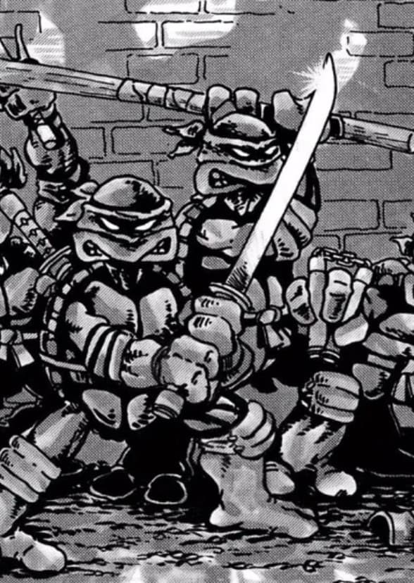 Teenage Mutant Ninja Turtles: Half Shell